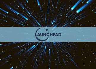 Shiba Inu - launchpad