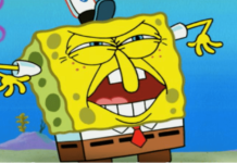 Il prezzo del token Sponge aumenta del 9% nonostante il calo delle altre meme coin Sponge