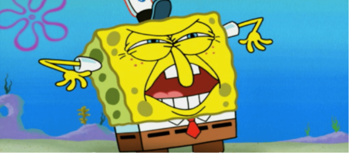 Sponge Sponge