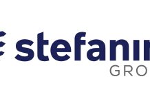 Gruppo Stefanini