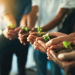 Plant,,Sustainability,And,Environment,With,Hands,Of,Business,People,For InnovAction