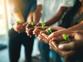 Plant,,Sustainability,And,Environment,With,Hands,Of,Business,People,For InnovAction