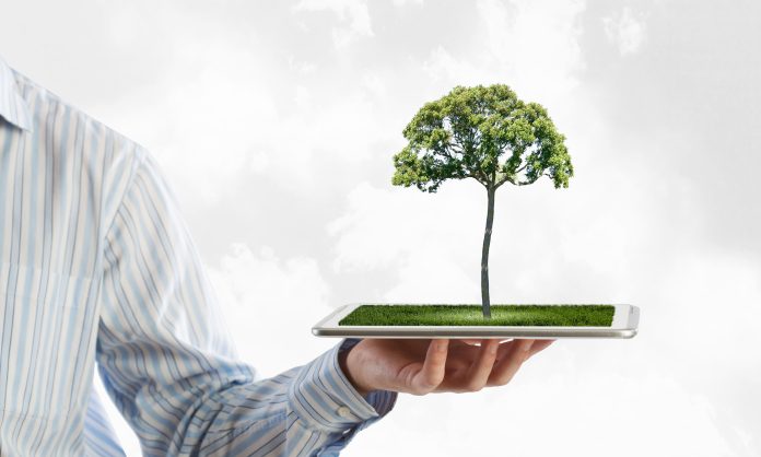 Green IT_shutterstock