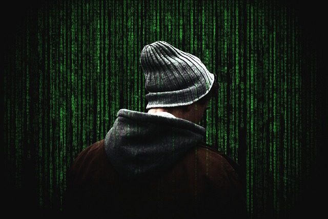 cyber-security-phishing-pmi