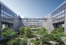 “Botanica Temporanea” per studiare gli effetti del verde in città Botanica Temporanea