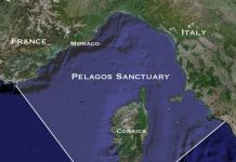 Il Santuario Pelagos