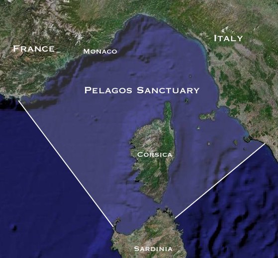 Il Santuario Pelagos Il Santuario Pelagos