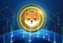 Il prezzo di Shiba Inu aumenta di un altro 33% mentre le meme coin continuano ad esplodere