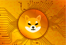 Shiba Inu crypto previsioni fino al 2030