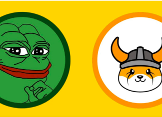Pepe e Floki continuano a salire mentre aumenta anche l’hyper intorno al token Smog