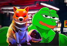 Pepe e Bonk perdono terreno mentre Dogecoin20 potrebbe essere la prossima meme coin ad esplodere Pepe e Bonk