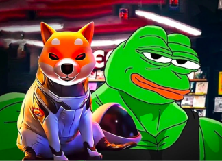 Pepe e Bonk