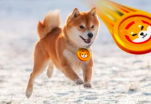 Shiba Inu aumenta dell’11% mentre la nuova meme coin Dogecoin20 raccoglie $ 2 milioni in 5 giorni di presale Shiba Inu
