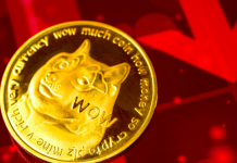 Le crypto Dogecoin e Shiba Inu crollano mentre Dogecoin20 supera i $ 2,5 milioni in prevendita Le crypto Dogecoin e Shiba Inu