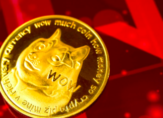 Le crypto Dogecoin e Shiba Inu