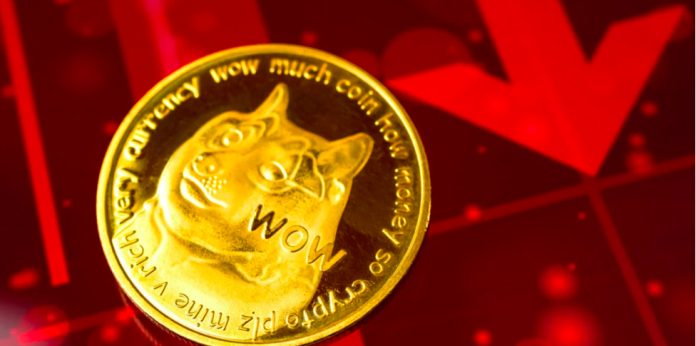 Senza titolo Le crypto Dogecoin e Shiba Inu