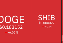 Le meme coin subiscono un rallentamento mentre i trader cercano le gemme nelle prossime crypto presale Doge