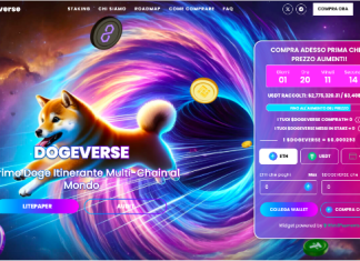 Come comprare Dogeverse ($DOGEVERSE) – La guida step by step Dogeverse