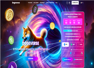 Dogeverse