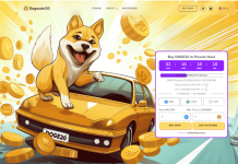 dogecoin