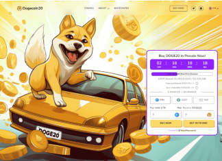 Come comprare Dogecoin20 ($DOGE20) – Una guida per chi è alle prime armi dogecoin