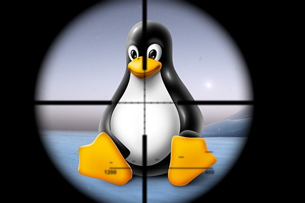 025105-Linux-vulnerabile