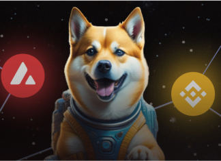 Coin dogeverse