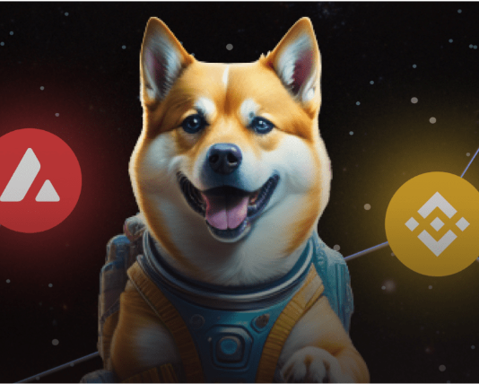 Coin dogeverse