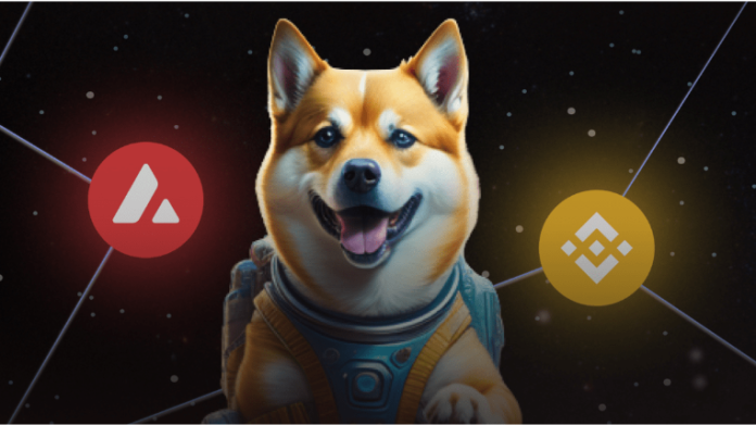 Coin dogeverse Coin dogeverse