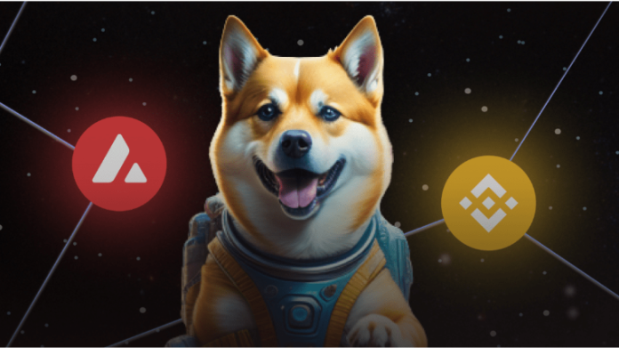 Coin dogeverse