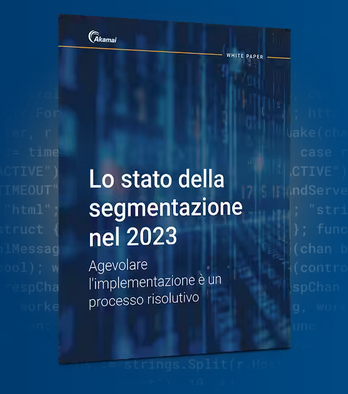 Segmentazione Segmentazione