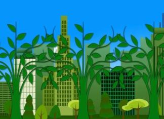 environmental-protection-696x309
