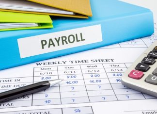 Partner payroll: cosa (non) cercare? payroll-specialist