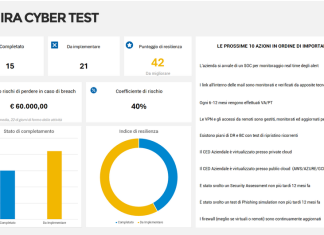 1. IRA CYBER test