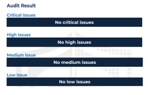 Audit Result