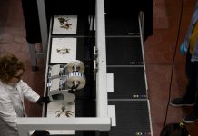 Digitalizzazione Erbario Centrale_NBFC 1 (7)_bassa
