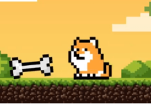 PlayDoge 1
