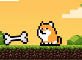 PlayDoge 1