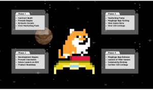 PlayDoge 5