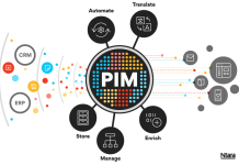 What-is-PIM-article-2