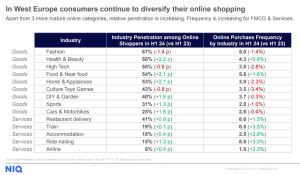 ECommerce NIQ 2024_1