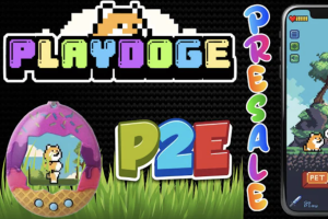 PlayDoge 1