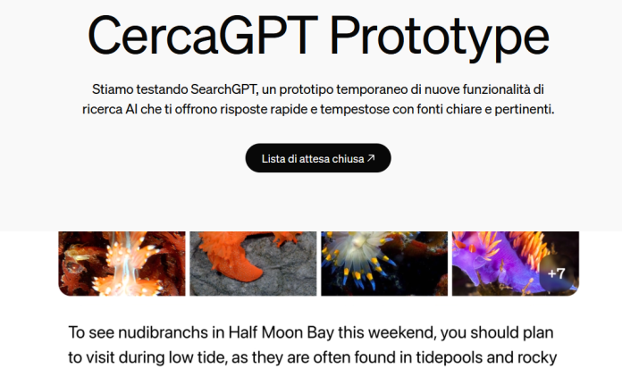 CHatGPT search CHatGPT search