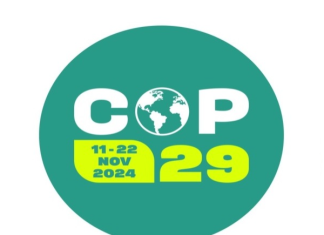 COP 29