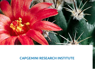 Capgemini