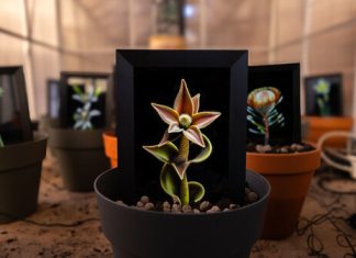 progetto_fioriture_sintetiche
