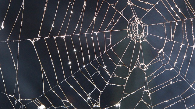 sicurezza web sicurezza web