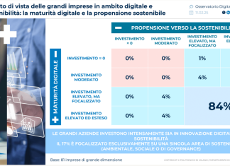 Digitale e sostenibilità