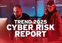 cyber risk