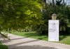 rsz_riforestazione_13-3-25